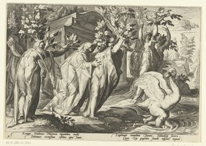 ファエトンの姉妹はポプラに、彼の友人は白鳥に変わる Ovid