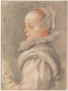  作： Hendrick Goltzius