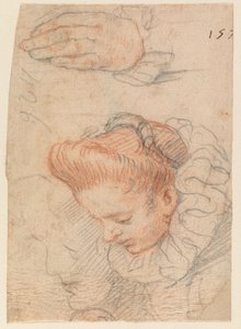  作： Hendrick Goltzius