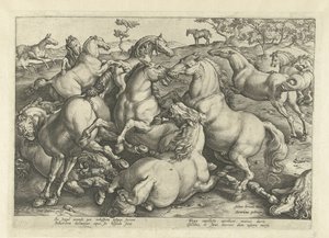 12頭の闘馬 オーストリアのドン ファンの王室厩舎の馬の品種 (シリーズ タイトル) 作： Hendrick Goltzius