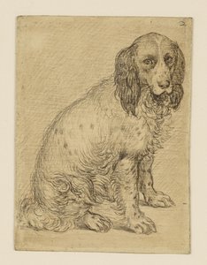  作： Hendrick Goltzius