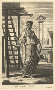 混合民族の女性の肖像画 メスティースの女性 (オブジェクトのタイトル) 作： Hendrik Causé