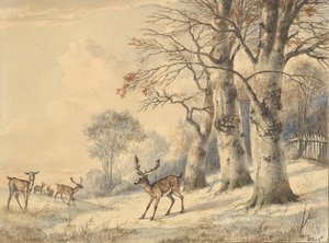 夏のブナの木の下の鹿、1853年。 作： Hendrik Gerrit ten Cate