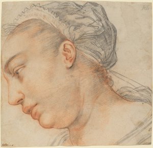 若い女性の頭 作： Hendrik Goltzius