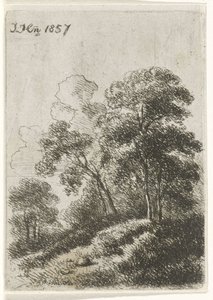 丘の上の木々 作： Hendrik Jan Hein
