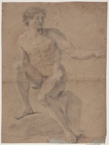 男性モデル研究 作： Hendrik Krock