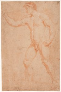 男性モデル研究、立っている、腕を上げている 作： Hendrik Krock