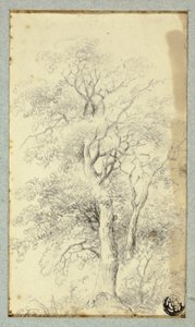 木 作： Hendrik Pieter Koekkoek