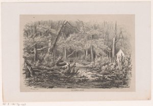 1860 年 5 月 28 日の嵐の後、ヤコバラーンの倒木 Jacobalaan (オブジェクトのタイトル) 1860 年 5 月 28 日の嵐の影響を受けたトネーレン ファン デ フェルウォスティングを描いた 10 枚のリトグラフ スケッチのアルバム 作： Hendrik Wilhelmus Last