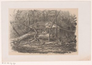 1860 年 5 月 28 日の嵐の後、Buitenlust 近くの吹き倒された木 屋外の欲望 (オブジェクトのタイトル) 1860 年 5 月 28 日の嵐の影響を受けたトネーレン ファン デ フェルウォスティングを描いた 10 枚のリトグラフ スケッチのアルバム 作： Hendrik Wilhelmus Last