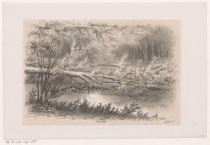 1860 年 5 月 28 日の嵐の後、倒れた木 池（オブジェクトのタイトル） 1860 年 5 月 28 日の嵐の影響を受けたトネーレン ヴァン デ フェルウォスティングを描いた 10 枚のリトグラフ スケッチのアルバム。