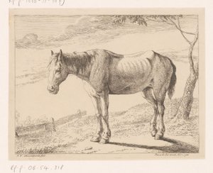 馬 いろいろな動物（シリーズタイトル） 作： Hendrik Willem Schweickhardt