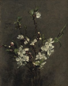 果樹の花