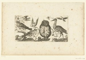 9羽の鳥と昆虫 鳥（シリーズタイトル） 作： Henri Le Roy