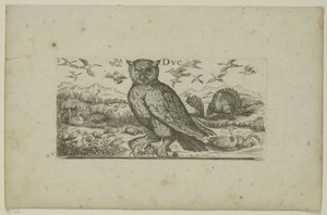 フクロウと他の鳥 鳥（シリーズタイトル） 作： Henri Le Roy