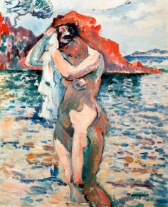 A Bather、1906。 作： Henri Manguin