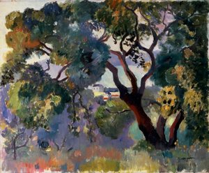 「サントロペの風景」、1905 年。 作： Henri Manguin
