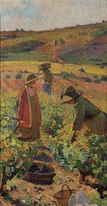 ピッキング;ピッキング、1925年頃 作： Henri Martin