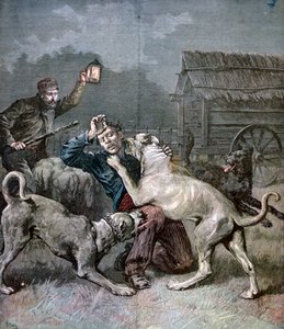 1891年に3匹の大型犬に襲われた犯罪者