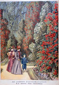 椿の温室、動物園、パリ、1897 作： Henri Meyer