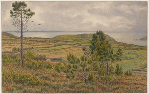  作： Henri Rivière
