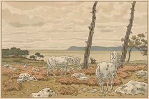 自然の側面: 湾 作： Henri Rivière