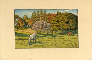 ベレーの小さな木 (Douarnenez) 作： Henri Rivière