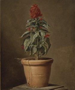 鉢植え 作： Henri Roland de la Porte
