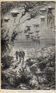 ジュール・ヴェルヌ作「海底二万里」の挿絵 作： Henri Theophile Hildibrand