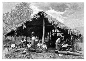 中央アメリカ、太平洋斜面の暑い土地のインド人女性、c1890 作： Henri Thiriat