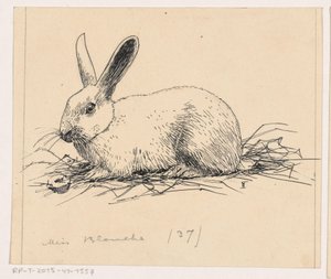 うさぎ 作： Henri Verstijnen (signed by artist)