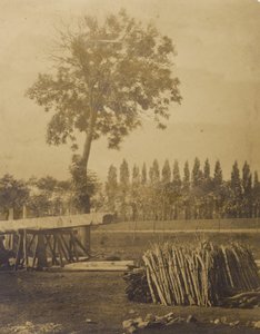 [伐採した木の枝の俵のある風景】。］ 作： Henri Victor Regnault