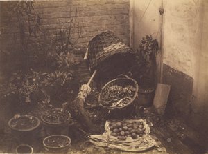 [わら籠、ほうき、袋を開けたジャガイモと鉢植えのある静物]。 作： Henri Victor Regnault