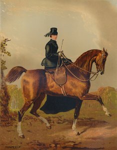 「女性の馬 - 故ペンブローク伯爵の財産」、1840 年代、1879 年頃。