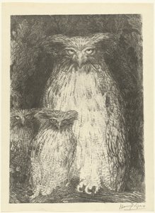 枝に座っている 2 つのフクロウの雛とフクロウ 3羽のフクロウの研究 レプルーヴ（シリーズタイトル） 作： Henri de Groux
