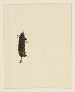 シナイの麓でのテイルピース 作： Henri de Toulouse-Lautrec