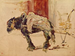 1881年のセレランでのドラフト馬