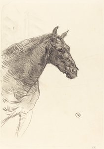 古い馬 作： Henri de Toulouse Lautrec