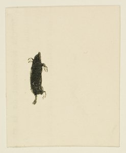 シナイの麓でのテイルピース 作： Henri de Toulouse Lautrec