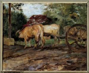 軛につながれた牛たち アンリ・ド・トゥールーズ・ロートレック（1864-1901）の絵画 19世紀 ボルドー、ボザール美術館蔵 作： Henri de Toulouse Lautrec