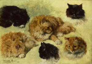 猫の研究 作： Henriëtte Ronner Knip