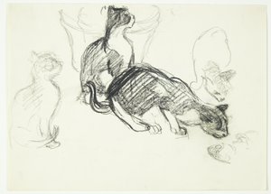猫と学ぶ雑誌 作： Henrik Schouboe
