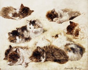 子猫の研究、1898 作： Henriëtte Ronner Knip