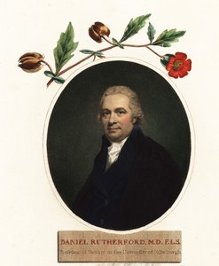 ダニエル・ラザフォードの肖像、植物学者.1805（彫刻） 作： Henry (after) Raeburn