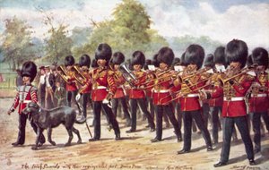 公園で行進している連隊のペットとアイルランドの警備隊 作： Henry A. Payne