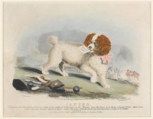 「サンチョ」、サラマンカの戦い、1812 作： Henry Bernard Chalon