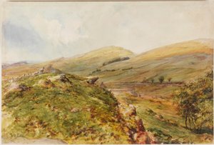 コックマウントヒル（ボディカラー） 作： Henry Burdon Richardson