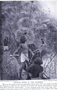 沼地で鳥を殺す、1920年頃