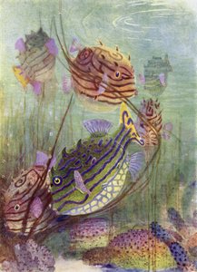 サンゴ海の貴重品 作： Henry Charles Seppings Wright
