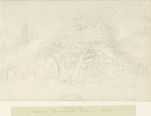 Beaudesert Park：鉛筆画、nd [1788-1855] 作： Henry Curzon Allport